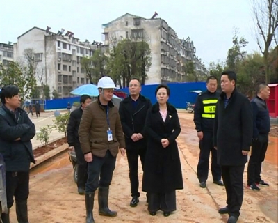 咸宁市督导组督导赤壁市城市管理工作
