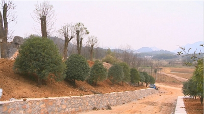 守住绿水青山 打造生态赤壁