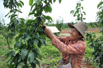 《开启全面从严治党新征程》余家桥乡：构建学习型基层党组 推动建设特色乡镇