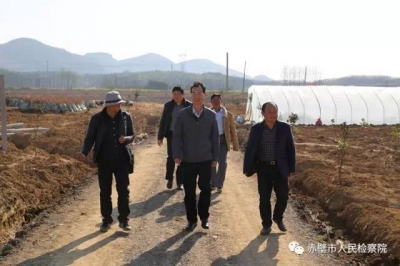 赤壁检察：走乡镇、察民情，推进平安建设工作进一线