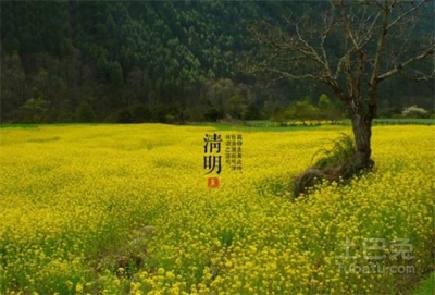 赤壁人，要知晓：这个清明节 陵园禁鞭