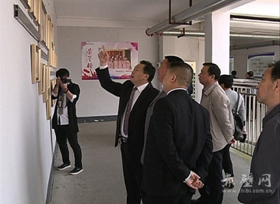 咸宁市卫计委系统专家考察同济赤壁医院