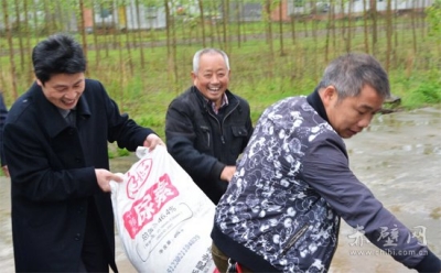 上足底肥“闹”春耕