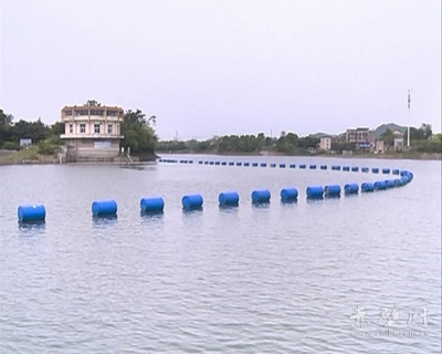 市人大调研陆水湖治理和保护工作