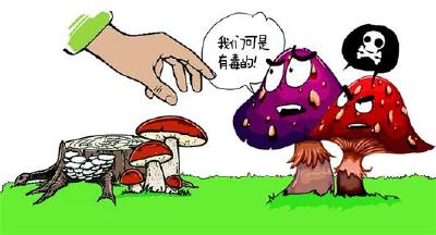 野生蘑菇中毒预警通告
