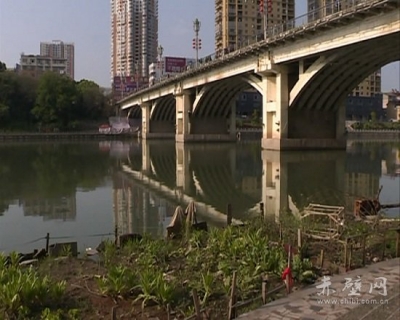 河滩成为“菜园子” 如此“圈地”不应该