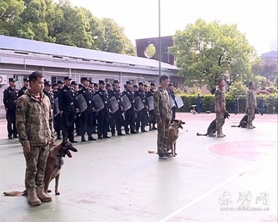 赤壁巡特警大队开展反恐防暴应急实战训练