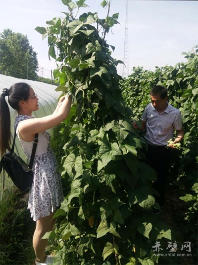 赤壁农业：严把农产品检测 确保舌尖上的安全