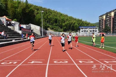 赤壁市举行2017年小学生田径运动会