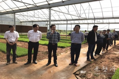 咸宁市水稻生产全程机械化现场演示暨农机安全生产培训会在赤壁召开