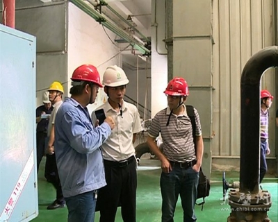 咸宁市核查组来赤开展小火电机组专项整治复核检查