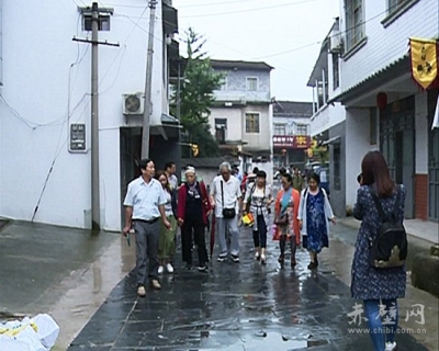 全国30位著名画家作家来赤壁市采风