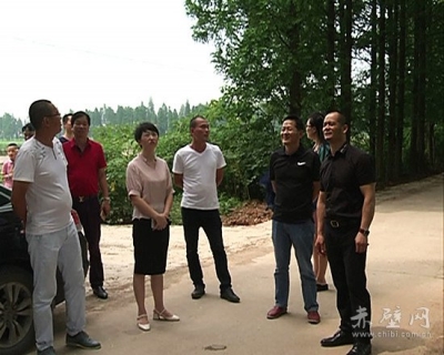 湖北温州商会到黄盖湖镇考察