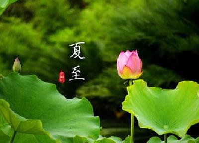 21日夏至：草深无处不鸣蛙