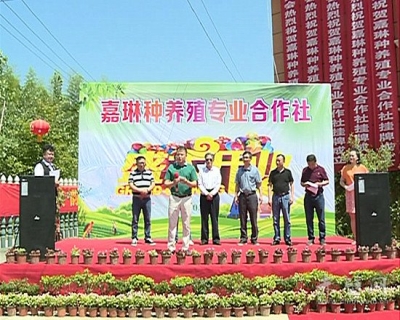茶庵岭：引进合作社 发展生态休闲农业