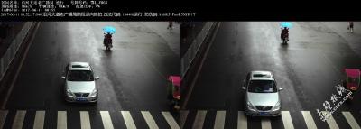 交通违法曝光台