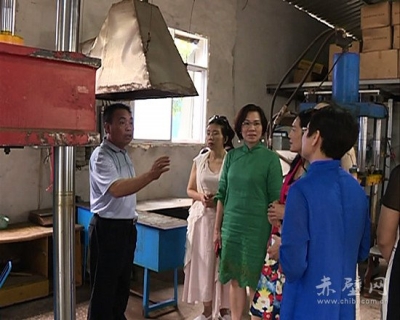 华南理工EMBA学员商务考察走进赤壁