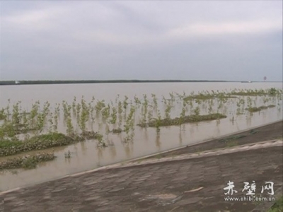 赤壁“三不松”、“五到位” 确保长江干堤安全度汛