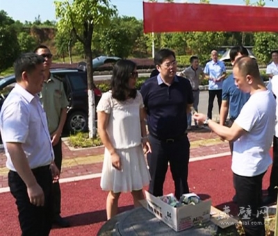 赤壁：销毁文化垃圾 净化文化市场