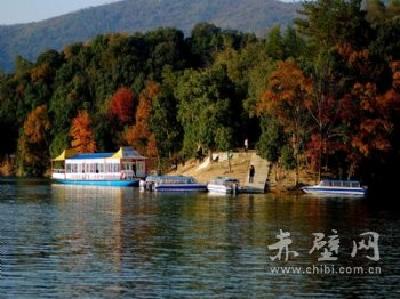 关于微信群流传“往陆水湖扒垃圾”视频的情况说明