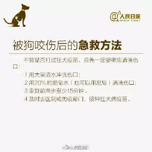 女子被狗咬伤打4针疫苗仍身亡，社会该如何治理“狗患”？