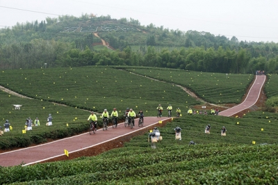 创建全域旅游示范区 助推经济跨越腾飞