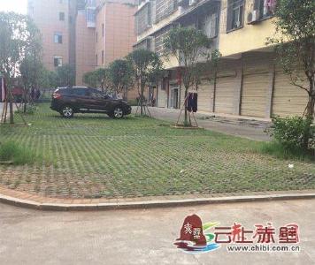 党建引活水 浇灌文明花