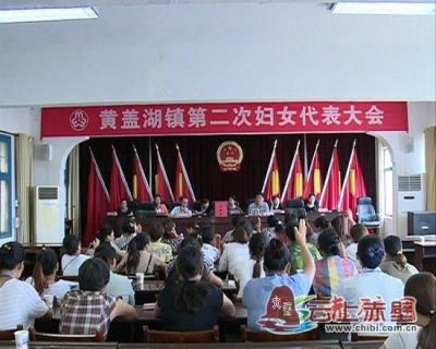 黄盖湖镇召开第二次妇女代表大会