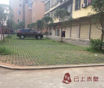 党建引活水 浇灌文明花