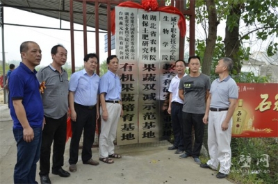 赤壁葡萄文化旅游节深受游客青睐