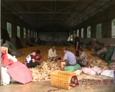 茶庵岭镇：打造特色农业产业 助推绿色经济发展