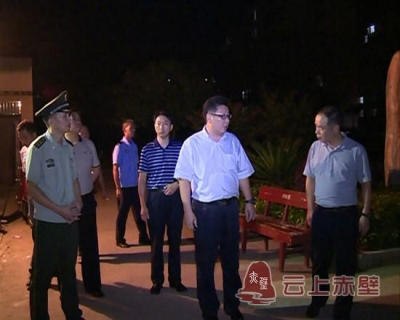 李朝曙夜查官塘驿镇社会稳定工作