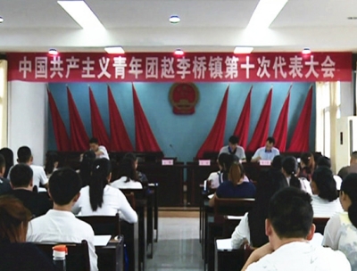赵李桥镇共青团举行第十次代表大会