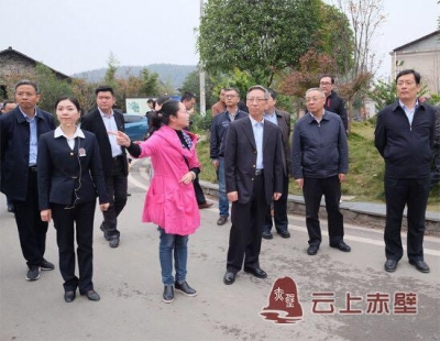 中华全国供销合作总社理事会副主任杨建平来赤壁市调研茶产业发展和特色小镇建设