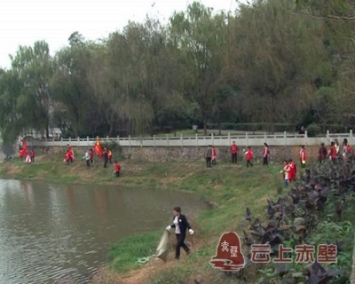 “清河行动” 蒲圻办事处迅速开展