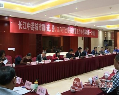 长江中游城市群（咸、岳、九）+打击侵权假冒工作协作联动第一次会议在赤壁市召开