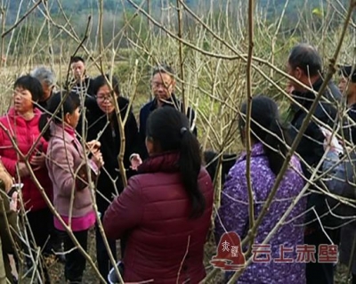 赤壁：院县共建 借科技助力精准扶贫