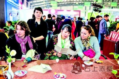 图文：中外客商齐聚赤壁签约46亿元