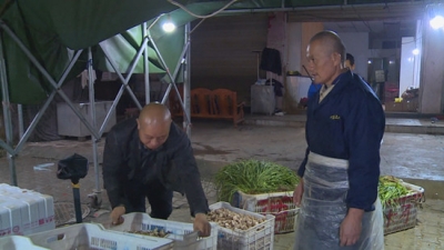 赤壁“菇”爷的梦想：让土地“生金” 农民致富
