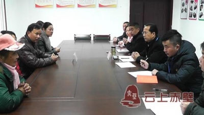 李满林到陆水社区开展党代表联系基层服务党员群众活动