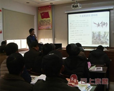 巡回传授龙虾养殖技术  助产业发展农民增收