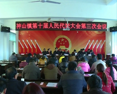 神山镇第十届人民代表大会第三次会议召开