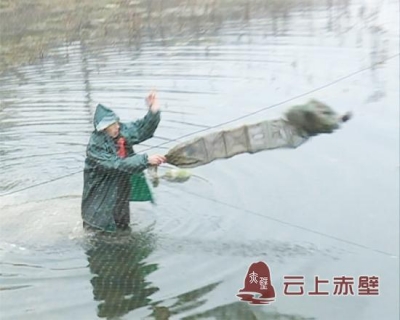 杨华山：不等不靠自强不息  发展养殖脱贫致富