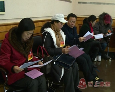 聚焦咸宁“两会”：代表委员热议政府工作报告 参政议政建言献策
