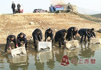 赤壁开展增殖放流活动 20万斤鱼苗安家陆水湖