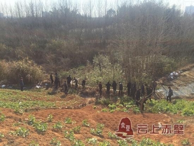 赤马港办事处重拳打击“抢栽抢种”投机行为