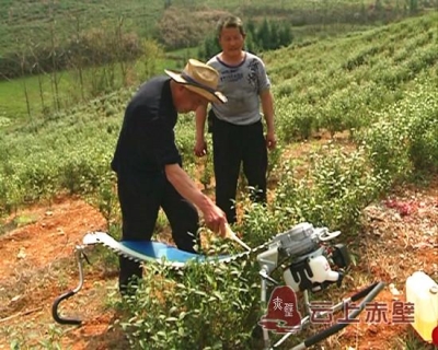 春季科技下乡 助春茶生产旺