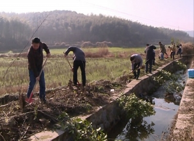 赤壁高新区深入帮扶村开展精准扶贫义务植树活动