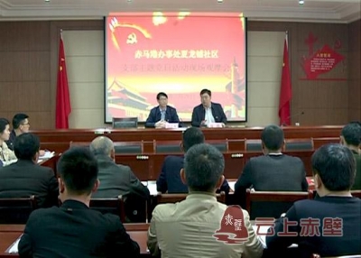 不断提升基层党组织组织力 赤壁市开展支部主题党日活动观摩会