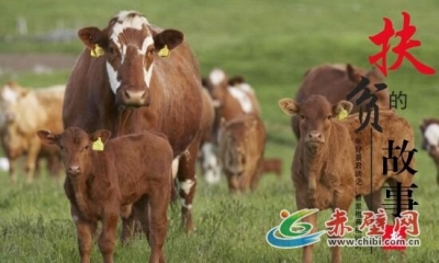郭正波：多种养殖并举 水陆两栖致富